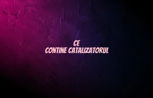 ce contine catalizatorul