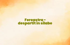 fereastra despartit in silabe