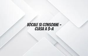 vocale si consoane clasa 3