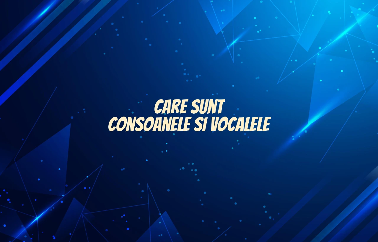 care sunt consoanele si vocalele