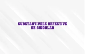 substantive defective de singular