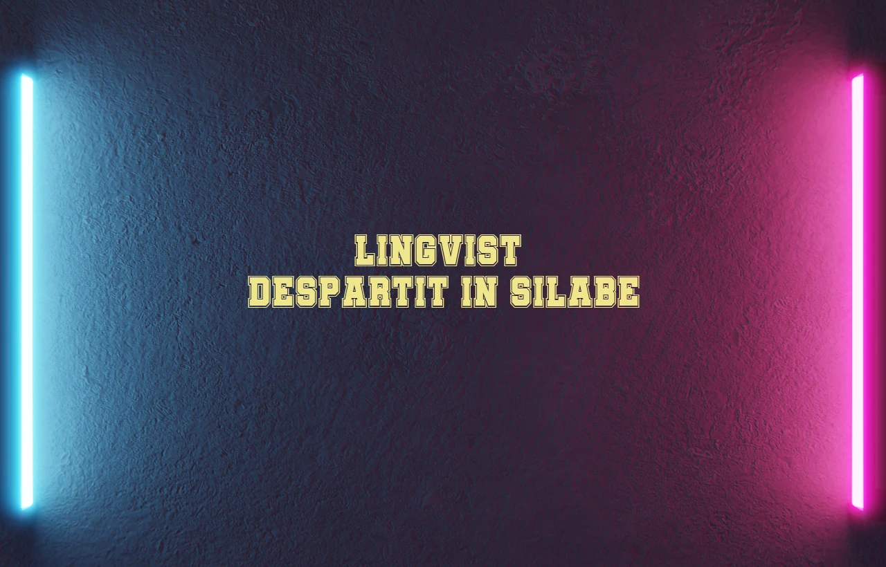 lingvist despartit in silabe