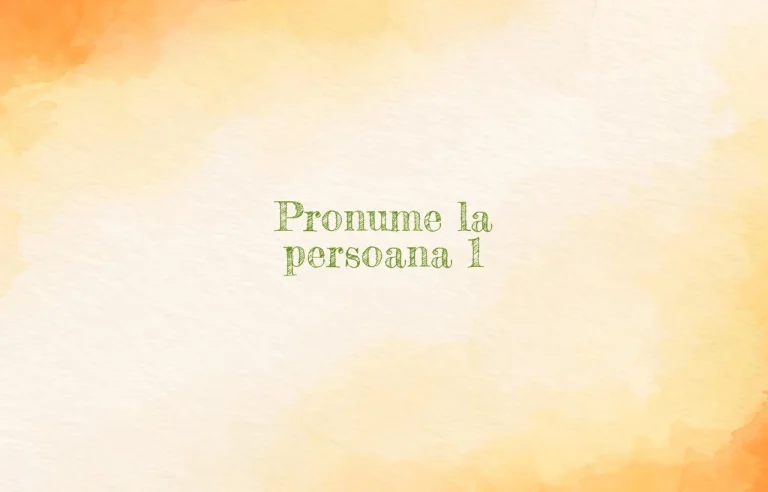 pronume la persoana 1
