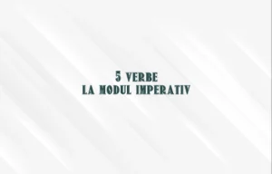 5 verbe la modul imperativ