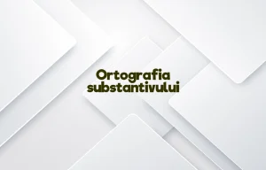 ortografia substantivului