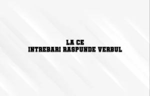la ce intrebari raspunde verbul