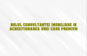 Rolul consultantei imobiliare in achizitionarea unei case premium