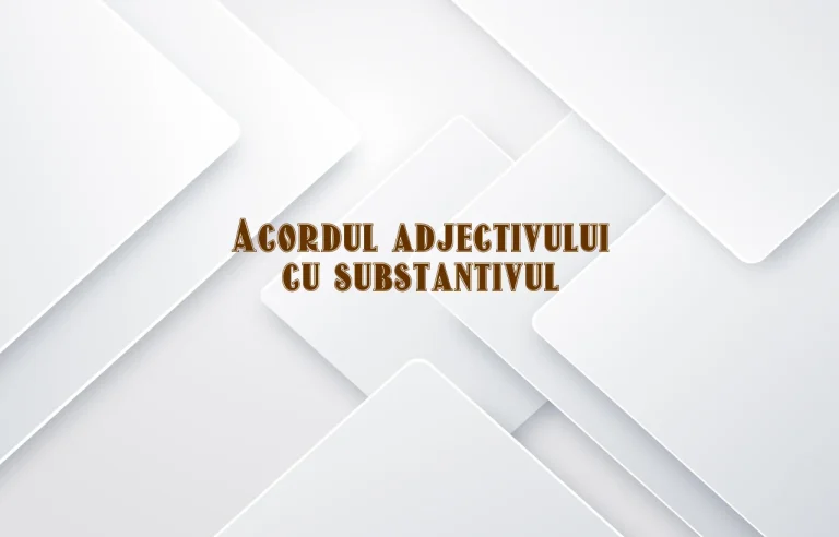 acordul adjectivului cu substantivul
