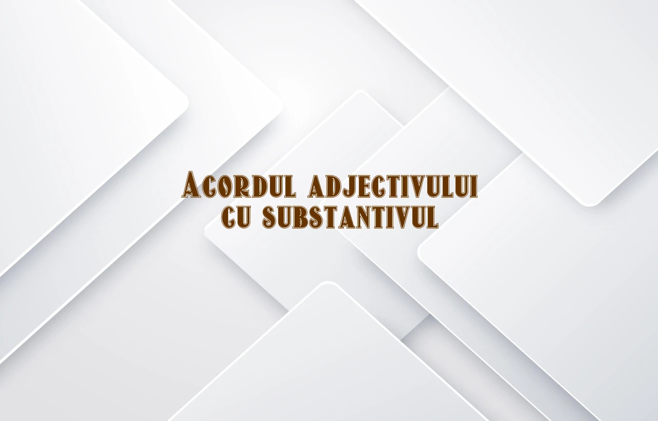 acordul adjectivului cu substantivul