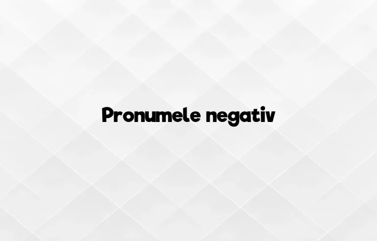 pronumele negativ